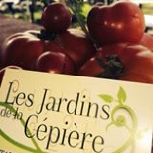 [AIDEM Toulouse] Afterwork le J9/06/2016 aux Jardins de la Cépière